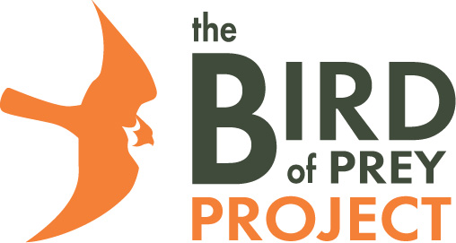 Logo of the bird of prey project