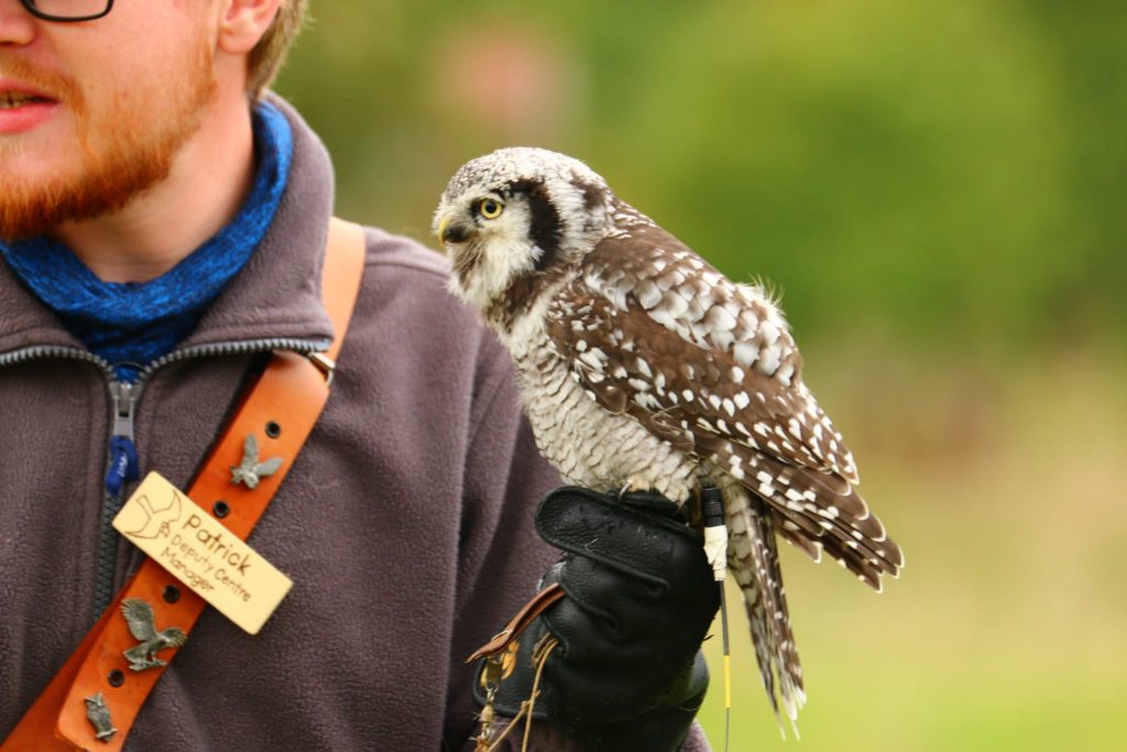 0734d51a-3ac1-4ca2-866d-7745b94fdd01 (1)